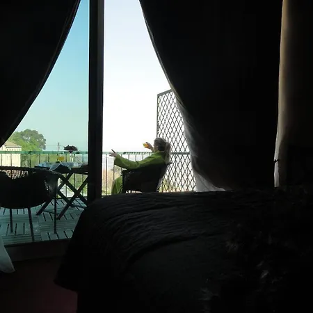Hotel Grande Braga