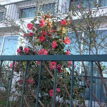 Grande Hotel Braga