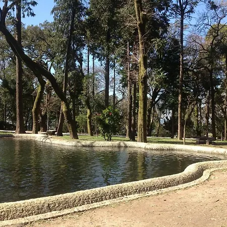 Hotel Grande Braga